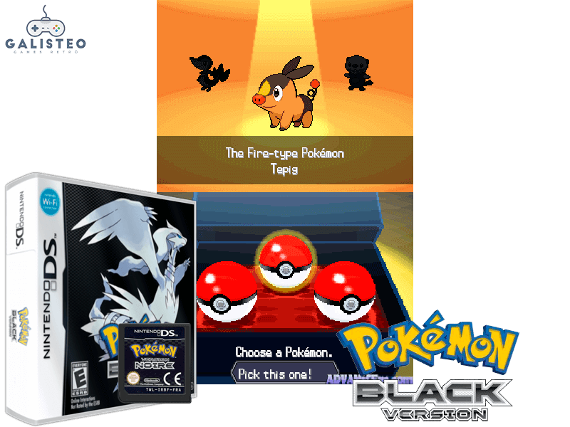 Pokémon Black Version
