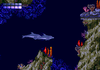 Ecco the Dolphin