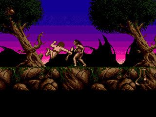 Shadow of the Beast II
